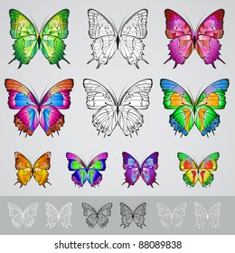 Set of different colored butterflies. Illustration on white background
