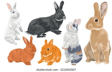 set of different colored domestic rabbits. decorative hares and rabbits. symbol of the year. easter animal vector