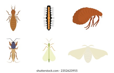 Set verschiedener farbiger Insektensymbole Vektor