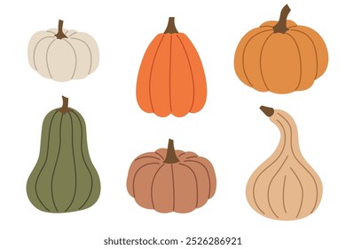 set of different colorful autumn pumpkins- vector illustration