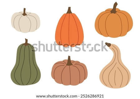 set of different colorful autumn pumpkins- vector illustration