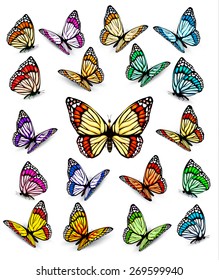 Set of different colorful butterflies. Vector.