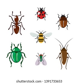 Set of different colorful cartoon vector insects