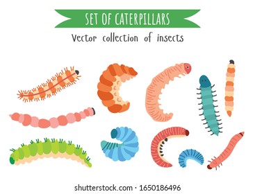 Set of different colorful caterpillars in cartoon style isolated on white background. Childish poster. The larva of insects, butterflies, moth. Vector illustration