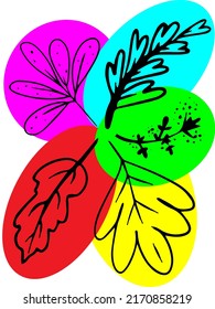conjunto de hojas diferentes y coloridas