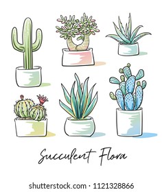 Set of different colorful succulents and cactus plants in garden pottery with hand written font. Hand drawn doodle sketch vector illustration.