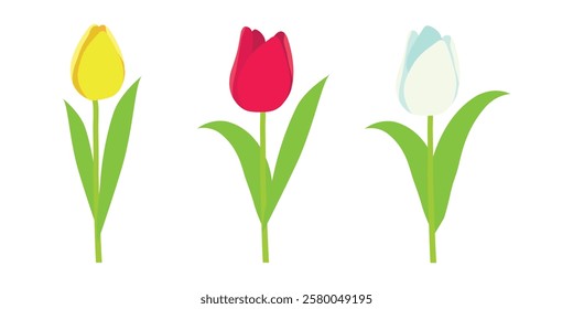 Set of different colorful tulips. Spring cute flowers
