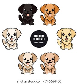 Set of different colors of  Golden Retriever Vector Illustration , isolated on white background , jpg included Clipping Path