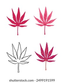 Set aus verschiedenen Farben von japanischem Ahorn oder Acer Palmatum auf weißer Blattlaus einzeln. Vektorgrafik.