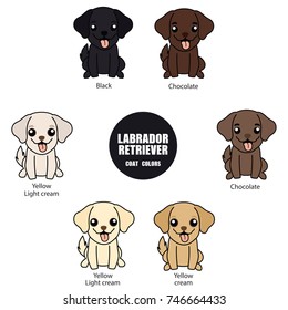 Set of different colors of  Labrador Retriever Vector Illustration , isolated on white background , jpg included Clipping Path