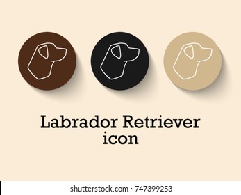 Set of different colors of Labrador Retriever face, side view : black, fawn, brown. line icon characters in flat style