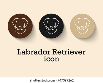 Set of different colors of Labrador Retriever face, front view : black, fawn, brown. line icon characters in flat style