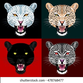 A set of different colors Portrait of a leopard