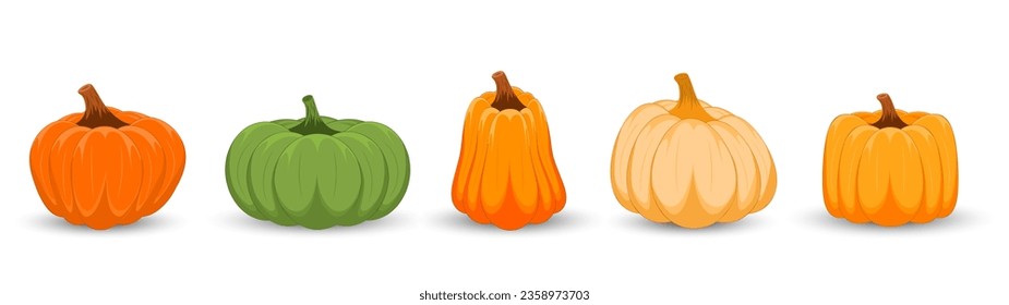 Set of different colors pumpkins on white background. Happy Halloween. Thanksgiving day with pumpkins. Vector illustration.