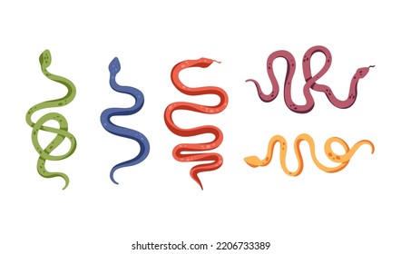 Establece diferentes colores para las serpientes. Ilustración vectorial plana aislada en fondo blanco