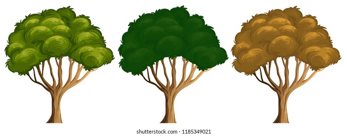 Set of different colour of tree illustration