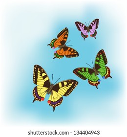 Set of different colourful butterflies