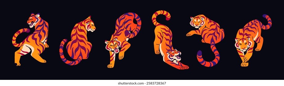 Set of different colourful tigers. Striped big cats are roaring, stretching, baring teeth. Angry Bengal, Amur, Siberian tigris. Wild animals of rainforest, jungle. Flat isolated vector illustrations