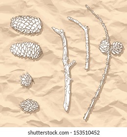 set of different cones and branches at creased paper background, vintage vector illustration