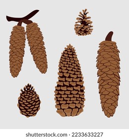 Set of different cones of different trees