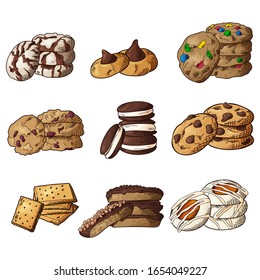 Set of different cookies on isolated white background. Traditional pastry. Vector illustration