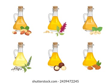 Set of different cooking oils in glass bottles, seeds, nuts and plants. Vector cartoon illustration of almond, peanut, macadamia, amaranth, soybean and chia seed oil.