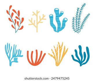 Set with different corals, algae and seaweed hand drawn vector illustration on isolated background, marine motif. Deep sea creatures, ocean flora, fauna, summer time. Underwater biodiversity