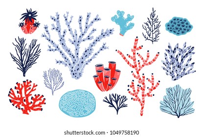 Set of different corals and seaweed or algae isolated on white background. Bundle of marine species, deep sea creatures, ocean flora and fauna. Underwater biodiversity. Colorful vector illustration