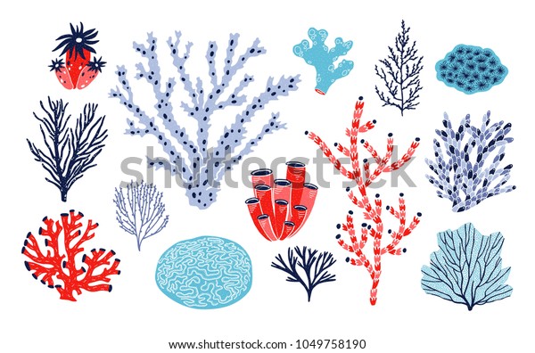 白い背景にサンゴと海藻 藻のセット 海洋生物 深海生物 海洋動植物の群 水中の生物多様性 カラフルなベクターイラスト のベクター画像素材 ロイヤリティフリー