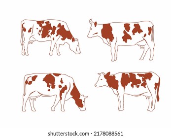 A set of different cows. Spotted cows graze. Vector monochrome graphics for packaging