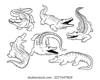 Set of different crocodiles. Сollection of alligator with open mouth . Reptiles. Vector illustration of an animal for t-shirt print.