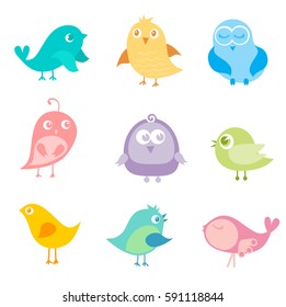 Conjunto de diferentes pájaros lindos.