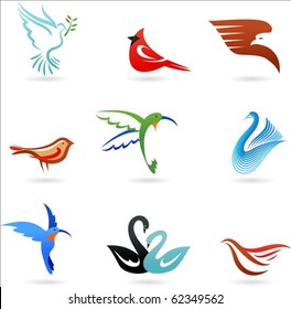 Set of different cute birds icons