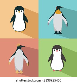 
set of different cute cartoon flat style Penguins Emperor Penguins on white background  isolated Vector Illustration