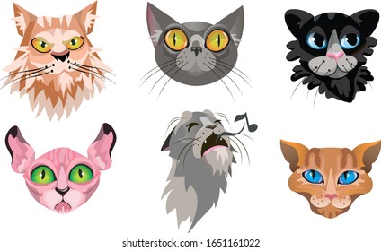 Set of different cute cat faces. Vector illustration in flat cartoon style.