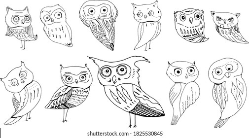 Set with different cute owls isolated on white background