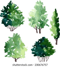 set of different deciduous trees, vector illustration