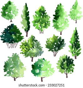 set of different deciduous trees, vector illustration