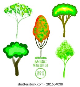 set of different deciduous trees, vector illustration