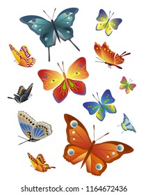 Set of different decorative butterflies on white background. Vector objects.