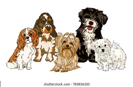 Set of different dog breeds.