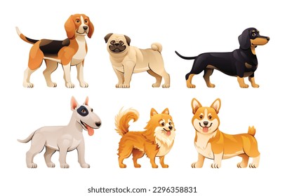 Set of different dog breeds in cartoon style. Beagle, Pug, Dachshund, Bull Terrier, Pomeranian and Corgi vector illustration