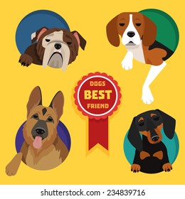 Set of different dog breeds. German Shepherd, Dachshund, English bulldog, Beagle