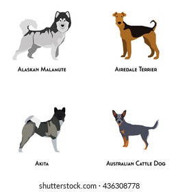 Set of different dog breeds on a white background