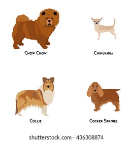 Set of different dog breeds on a white background