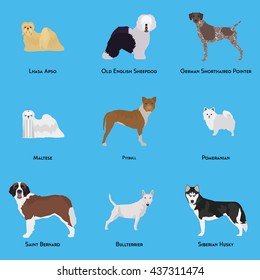 Set of different dog breeds on a blue background