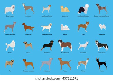 Set Different Dog Breeds On Blue Stock Vector (Royalty Free) 437311591 ...