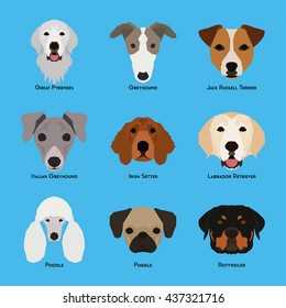 Set of different dog breeds on a blue background