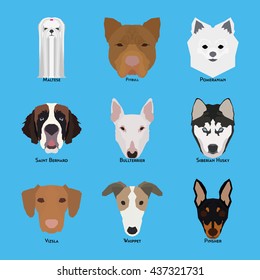 Set of different dog breeds on a blue background