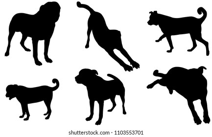 set of different dog silhouettes